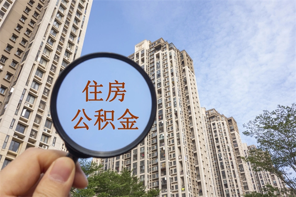漯河公积金代取（漯河公积金提取中介）
